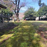 【西ノ島】由良比女神社