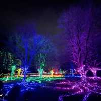 Christmas lights festival at the botanical gardens 