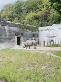 【名古屋】なごやから電車で約20分！東山動物園