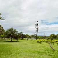 假日散步的好去處｜森林公園｜享受悠閒的一整