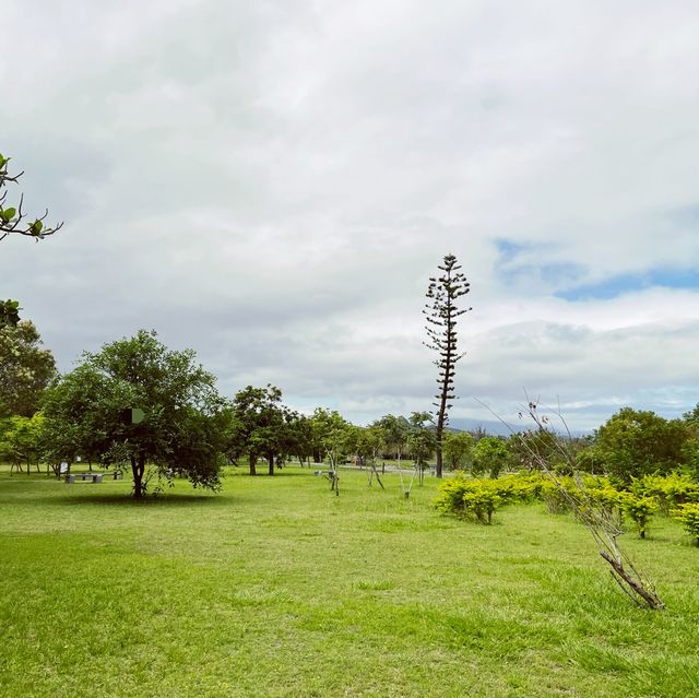 假日散步的好去處｜森林公園｜享受悠閒的一整