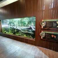 Trip to River Wonders