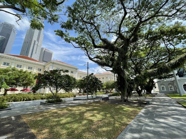 Museum park