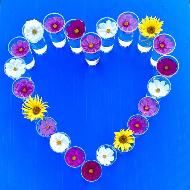 フォトジェニックな花畑　洲原ひまわりの里