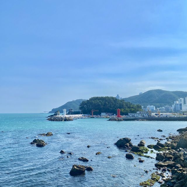 바다 뷰 대형카페 코랄라니🌊🏖