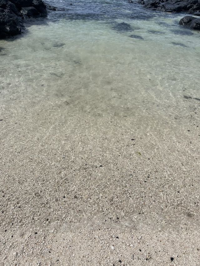 에메랄드빛 바다에서 스노쿨링🌊 우도 ‘서빈백사’