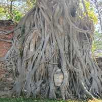 Ancient City - Ayutthaya 大城府