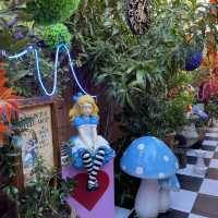 Down the Rabbit Hole - The Grounds Alexandria