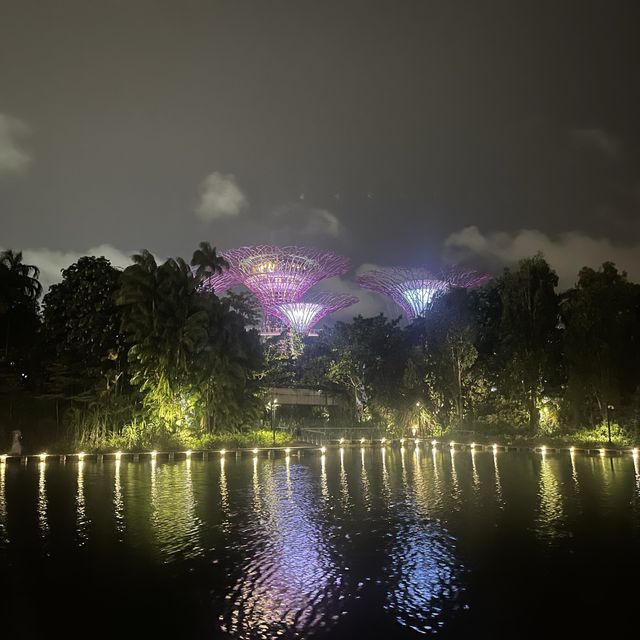 An Enchanted Garden