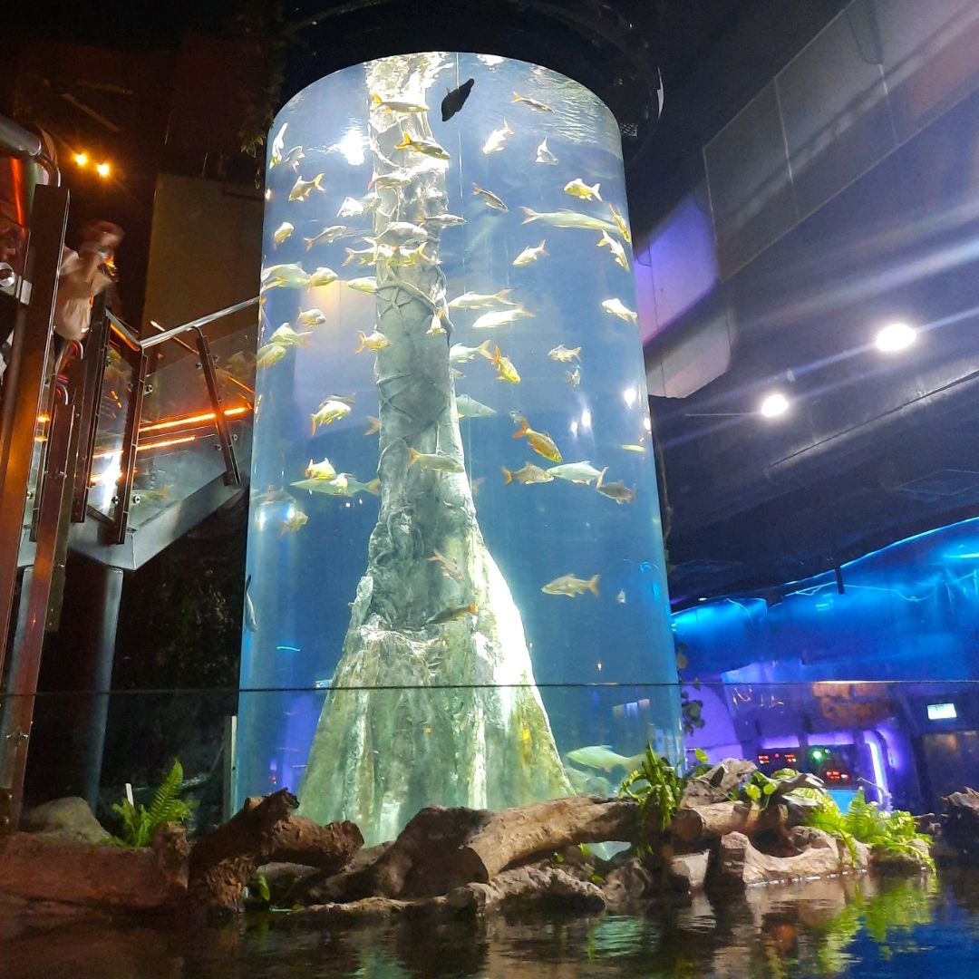 Aquaria KLCC
