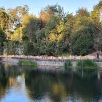 周未行山好去處-mount coot botanic garden 