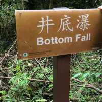 梧桐寨井底瀑