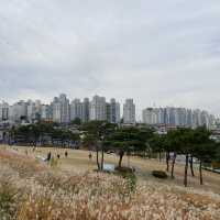 Suwon Fortress in Autumn
