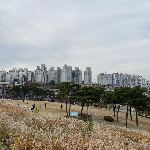 Suwon Fortress in Autumn