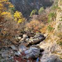 Autumn Season in Seoraksan 
