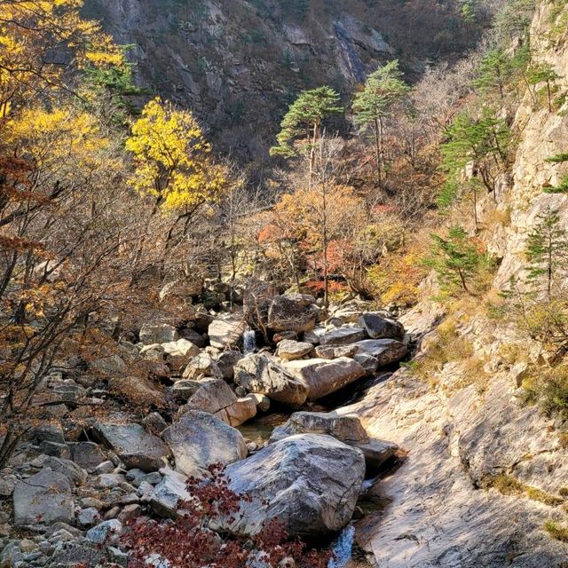 Autumn Season in Seoraksan 