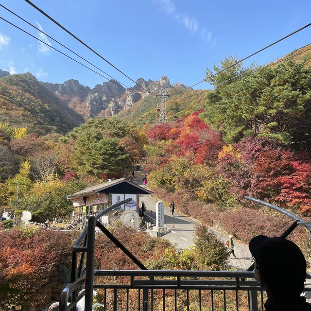 가을 산행 추천 (대둔산)