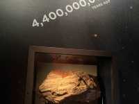 What’s inside the Perth Museum!
