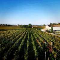 Saint Emilion Winery Tour Visit