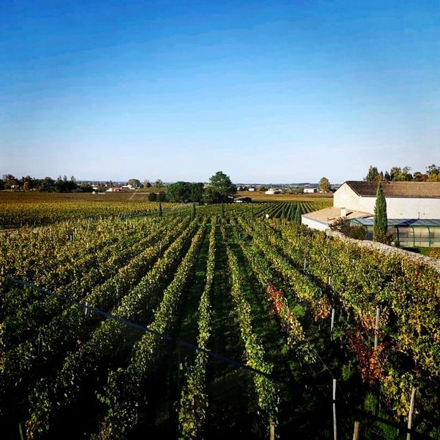 Saint Emilion Winery Tour Visit