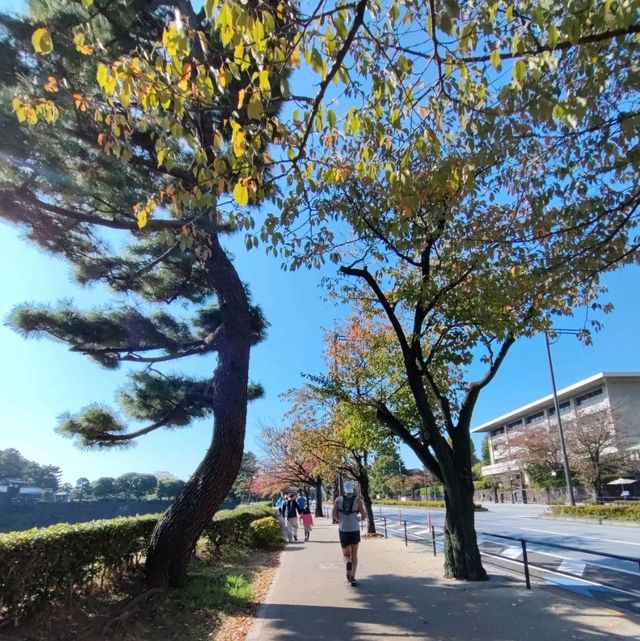 The East Gardens of the Imperial Palace