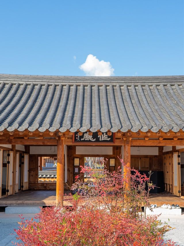 태평성대경상감영 속 상주 한옥 피크닉 카페