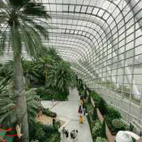 Gardens By The Bay - ป่าใหญ่ใจกลางเมือง