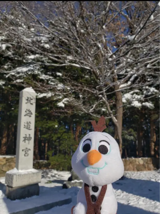 鋪蓋住白雪嘅北海道神宮