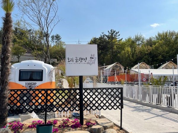 사계절 수영장과 바베큐무제한 🍗 사천 토리 글램핑장🏕️