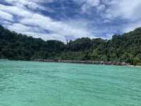 อุทยานแห่งชาติหมู่เกาะสุรินทร์ ปะการังยืนหนึ่ง 