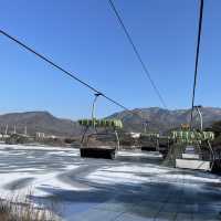 冬日白雪雪首爾動物園🫶🏻🫶🏻不一樣的體驗🤲🏻🙈