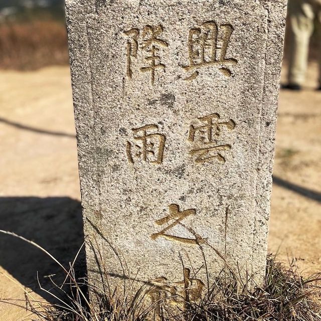 大西北遠望👀神洲，捉芒草尾巴-上水華山 
