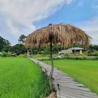 สะพานทุ่งนาน้อยเขาหล่น