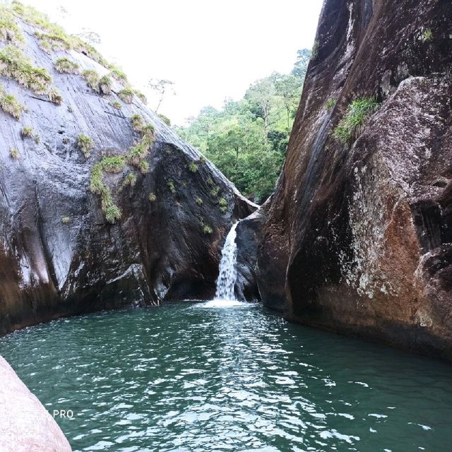 #nature #beautiful #cool