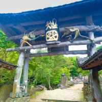 오징어게임 발상지, 하동핫플 삼성궁🏯
