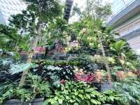 Forest garden trail within Jewel Changi