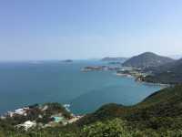 港島劏青蛙
