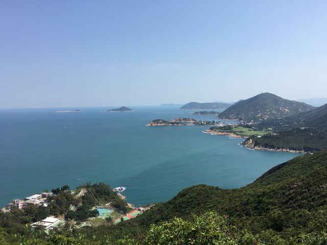 港島劏青蛙