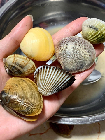 人生第一次摸蜆 Trip Com 香港trip Moments 貼文