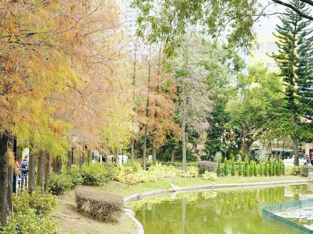 青衣公園
