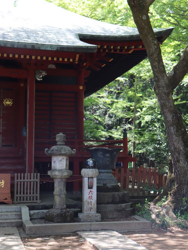 [도쿄] 간단한 등산이 가능한 타카오산