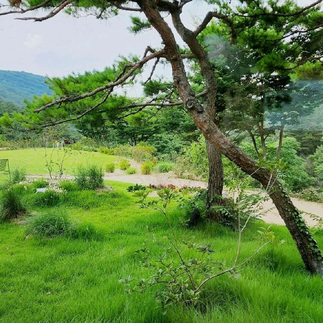 슬로우스톤 뷰좋은 대구 비슬산 카페