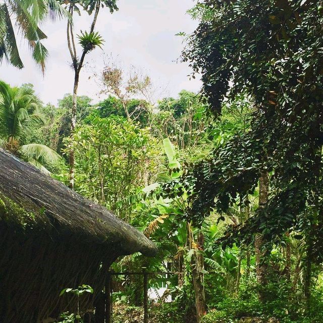 Feel the warm welcome of Banahaw Villa🏞️