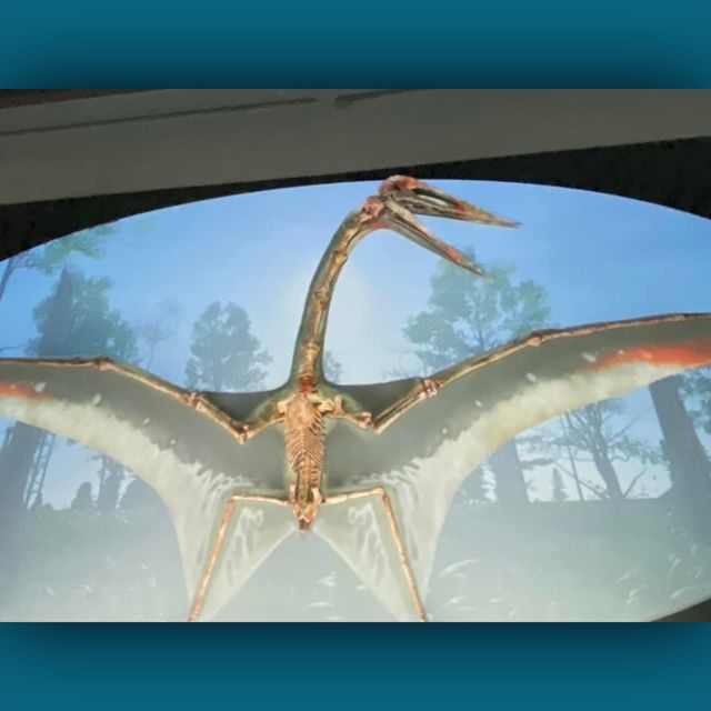 恐龍🦕🦖出沒注意⚠️