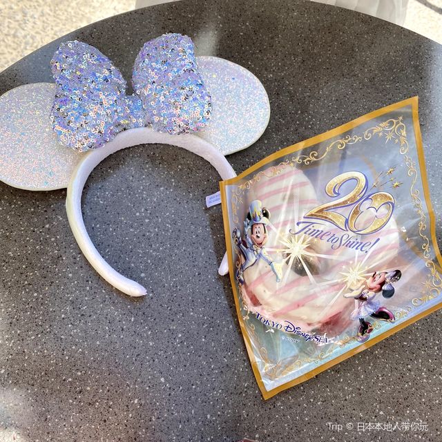 まもなく終了！ディズニーシー20周年