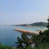 동해 바다가 한눈에 보이는 양양 죽도 전망대