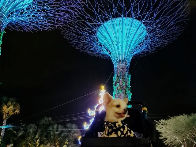 Night at Gardens By the Bay