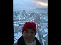 มาชิลชมวิวสวนมุมสูงจาก Goryokaku Tower