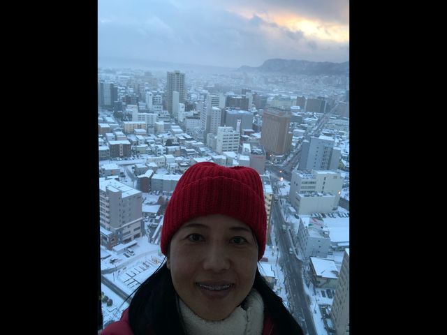 มาชิลชมวิวสวนมุมสูงจาก Goryokaku Tower