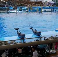 พิพิธภัณฑ์สัตว์น้ำท่าเรือนาโกย่า
